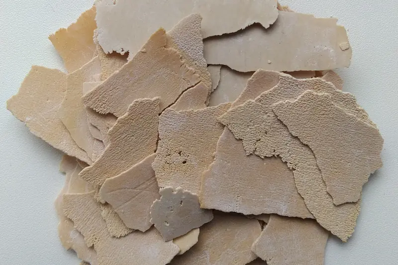 A pile of curled, pale beige flakes of limescale on a white surface, each one a thin shell that came away from inside a kettle